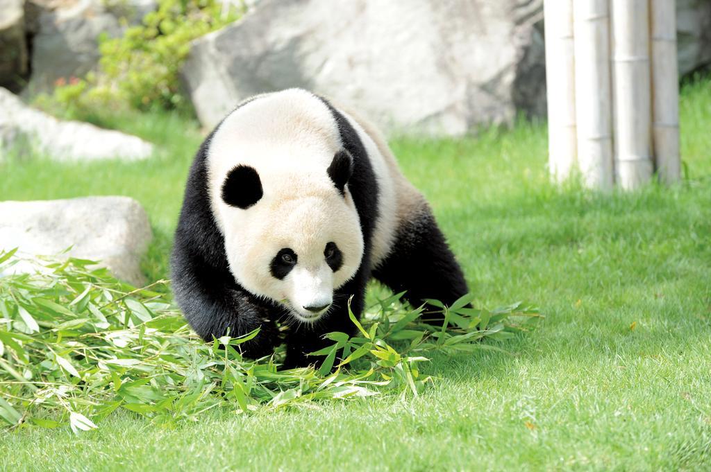 白浜シーサイドヴィラ Tanabe Dış mekan fotoğraf